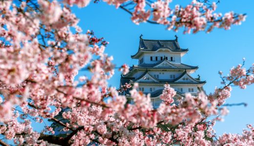 小倉城 桜 開花状況2025年版｜見頃・ライトアップ・周辺観光完全ガイド
