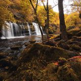 袋田の滝 今日 混雑