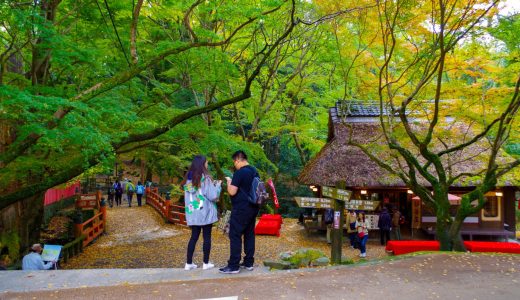 高尾山 祭り完全ガイド｜歴史・見どころ・アクセス・周辺情報まで